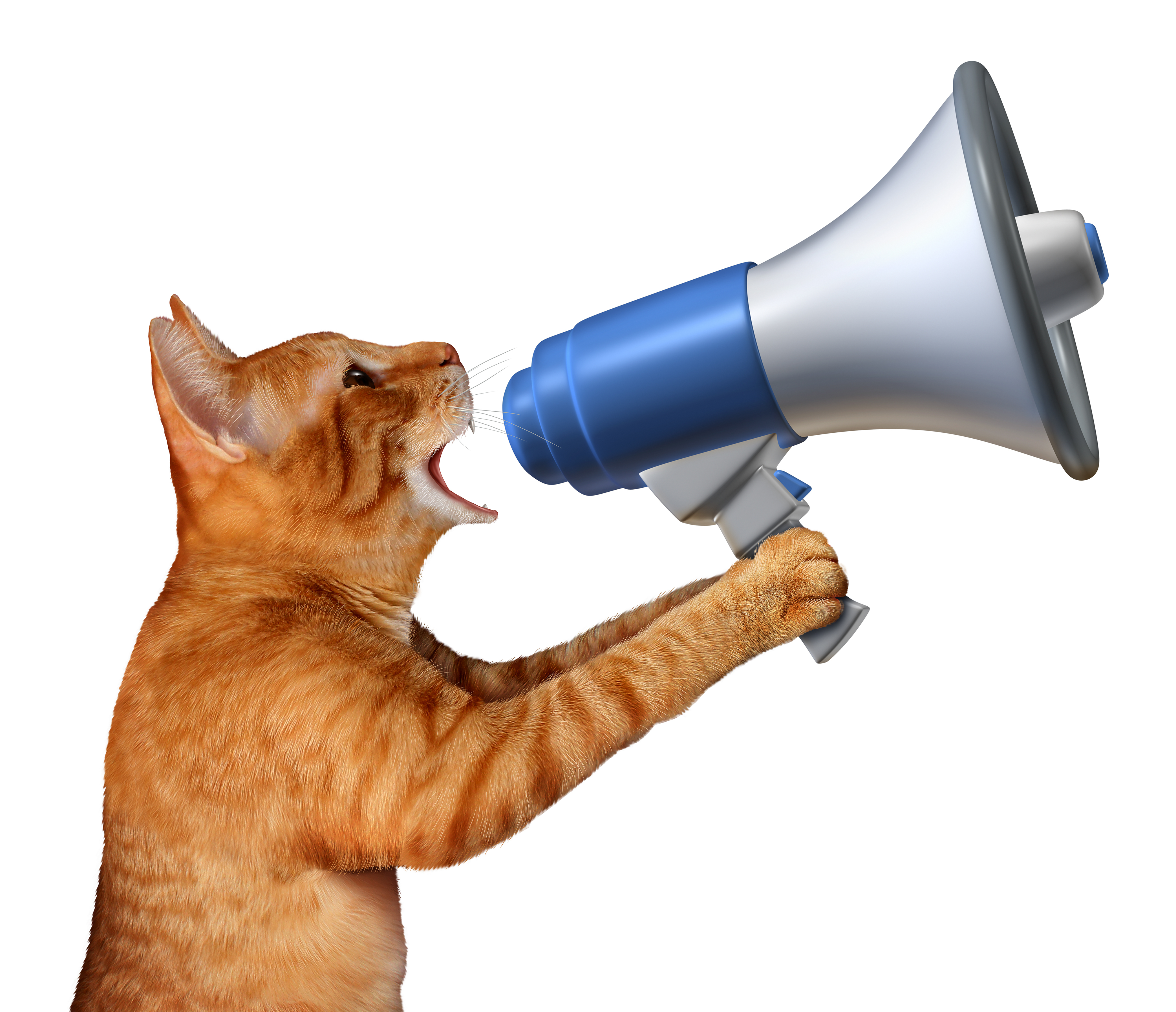 10 Real Estate Promotion Ideas You’re Not Doing [But Probably Should Be]