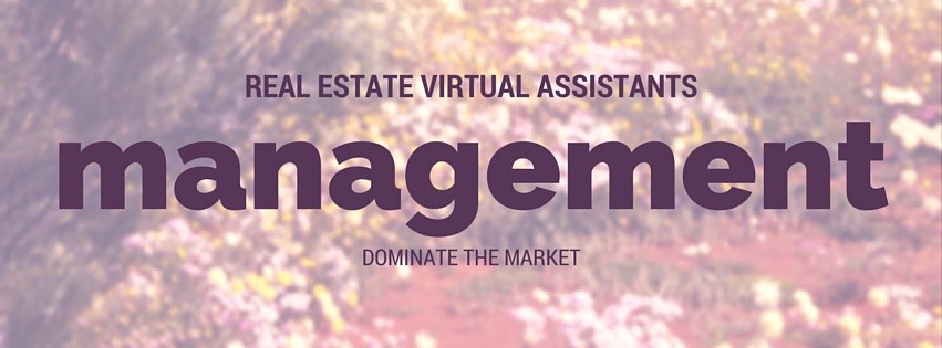 real estate virtual assistant
