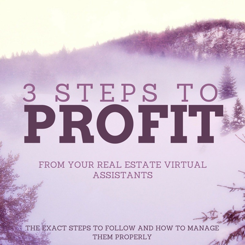 real estate virtual assistant
