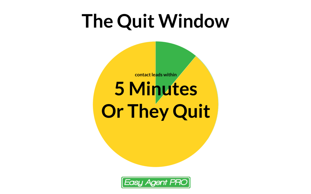 the quit window