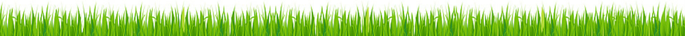 real estate podcasts grass