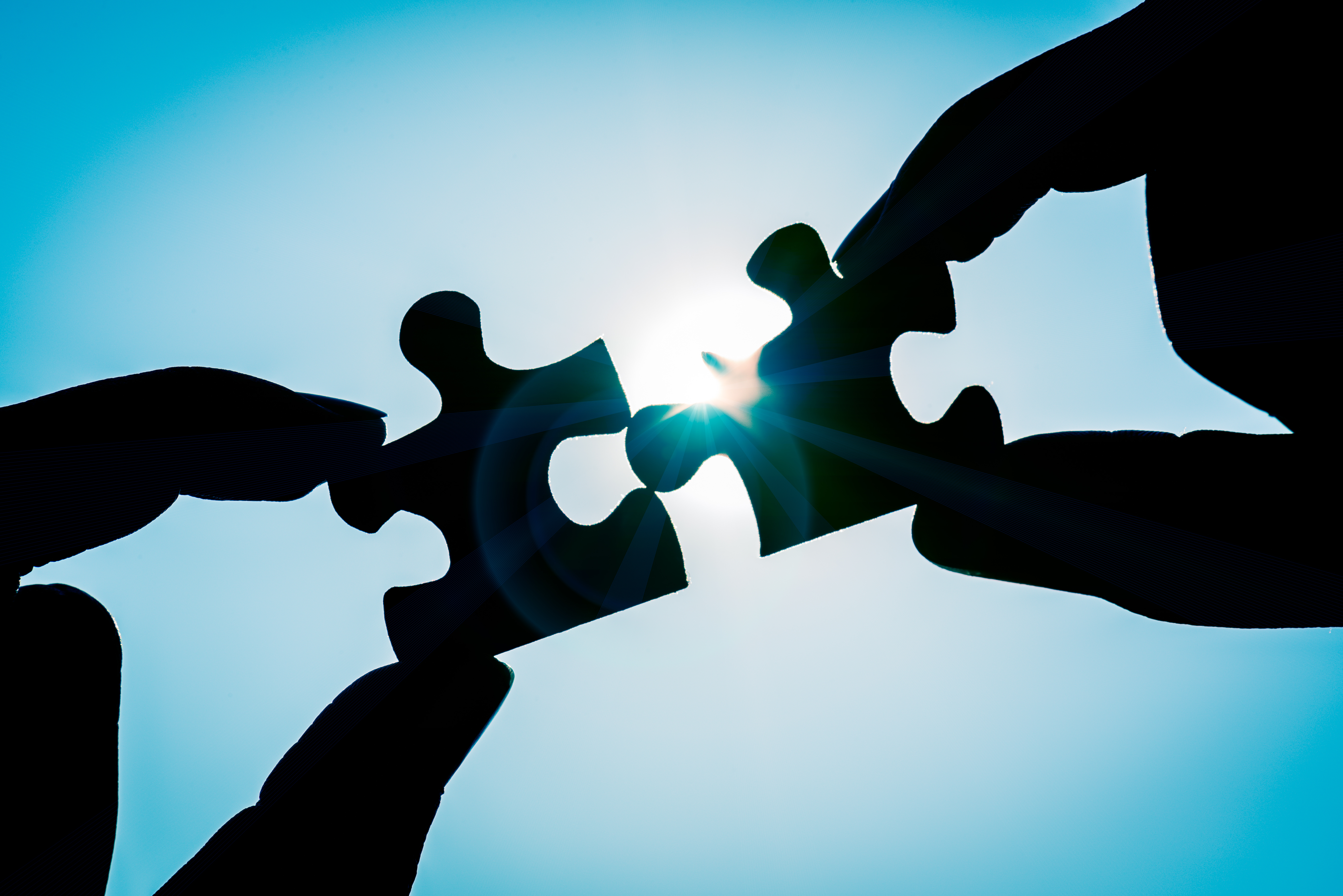 Real Estate Vendor Referral Program – Grow Your Budding Business