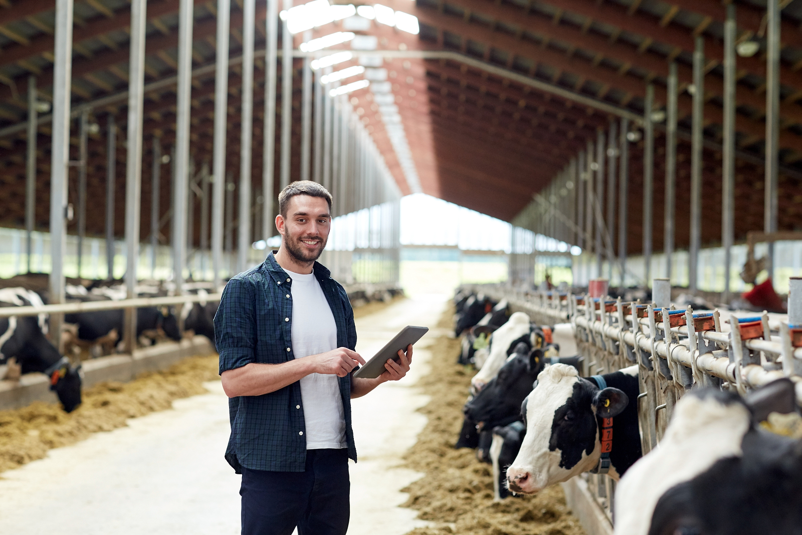 Old McAgent has a farm – do you?