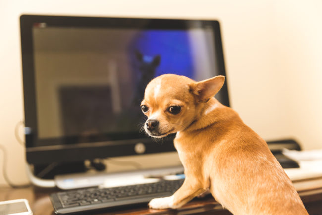 Real estate marketing emails mistakes