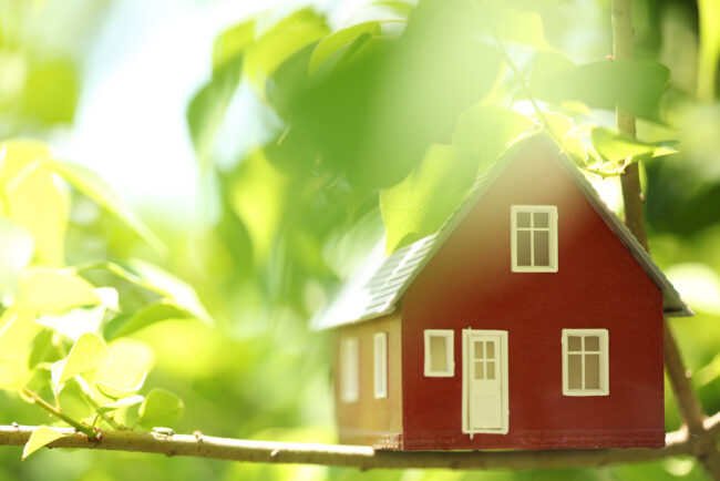 depiction of an energy efficient home. A rendering of a small home in a green tree. 
